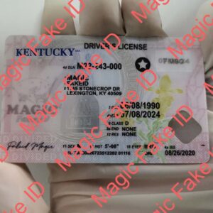 Kentucky Driver License