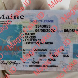 New Maine Driver License