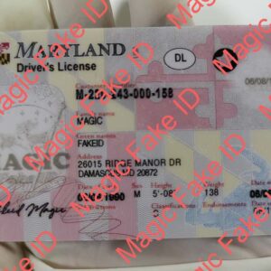 New Maryland Driver License