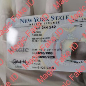 New York Driver License